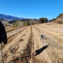 똘배농장 이미지