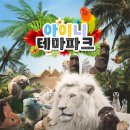 카페 아이니 이미지