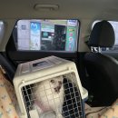 잘다녀오시개 이미지