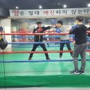 The King Boxing 이미지