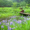 한택식물원주차장 이미지