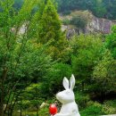 (주)자연과 사람들 이미지