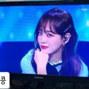 콩모니터링 이미지
