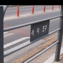 알로요가 오프듀티 캡/헤어클립 구매후기/알로 여름 악세사리 추천템👍