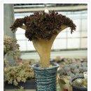 오수리농장 이미지