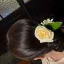 달코살롱 | W14. 본식 최종후기 (WI컨벤션 I홀 26년 2월 오후 예식후기)