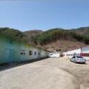 원주식물원 이미지