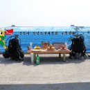 용인스킨스쿠버 이미지