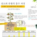 유황농산물