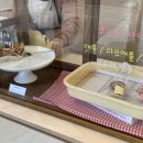 선데이요우 이미지