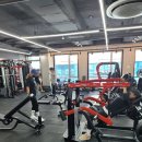 더 디짐 이미지