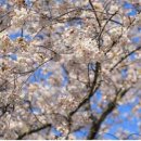 노일유치원 이미지