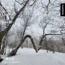 무릉도원면-51 이미지