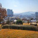 척척 행정사 사무소 이미지