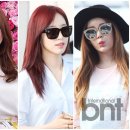 헤어포커스 bnt뉴스