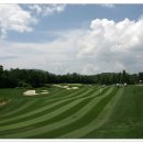 용평 버치힐골프클럽 이미지