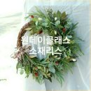 블룸스앤드 이미지