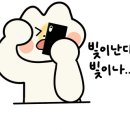 보민내과의원 네이버블로그