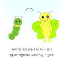 에코플라이 이미지