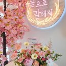 꽃으로말해줘 | 호계동꽃집 꽃으로말해줘 가격 위치 영업시간