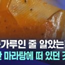 "후춧가루인 줄 알았는데"···포장한 마라탕에서 나온 벌레 이미지