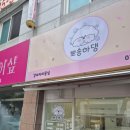 뽀송하댕 | 용인애견미용 뽀송하댕, 우리 아이가 편안하게 받은 미용후기 🐶✂️