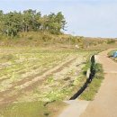 조은날공인중개사사무소 이미지