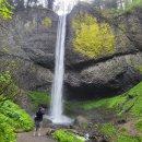 Portland(Oregon) and Redwood National Park 여행(1) 이미지