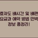 효자도6 이미지
