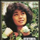 이유집 이미지