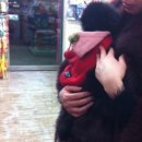 폴리파크지산점 이미지