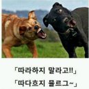 짤방출~ 이미지