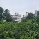 동홍동 명물천사우나 네이버블로그