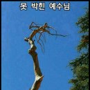 호세야 이미지