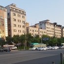 수원-1706 네이버블로그