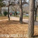 ㅇ한바퀴 수요라이딩 팔조령~용암온천 2025.12.10ㅇ 이미지
