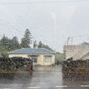 렉스호스텔 | 제주2박3일