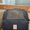 농림축산검역본부 서울지역본부 이미지