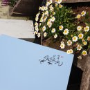 송풍초,용담중 이미지