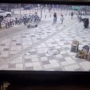 아이 향해 돌진한 세종시 버스…엄마가 끌어당겨 살았다 이미지