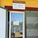 강원감영 | [강원 원주] 제3회 강원감영 국화와 가을꽃 전시회 방문후기