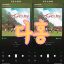 [다홍] 위키미키 Weki Meki [CoinciDestiny] 스트리밍 인증 이미지