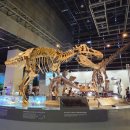 이마트24 첨단메가박스점 | 경기도 실내 아이와 가볼만한곳 데이트 국립과천과학관 입장료 주차