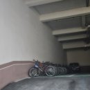 고현보조운동장 | 2024 거제 100K 후기 1 (출발 ~ CP5)