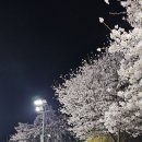 분성체육공원? 이미지