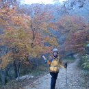 호연지기 이미지