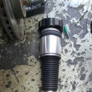 애니카랜드대치점 이미지