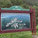 오도산식당 이미지