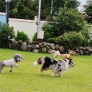 큰별유치원 이미지