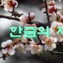한줌 Daum카페